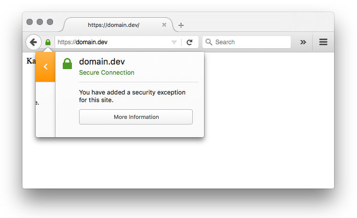 A web browser window displays the URL "https://domain.dev" with a drop-down notification showing that a secure connection is established. The notification says, "You have added a security exception for this site," with buttons for "More Information" and a close icon.