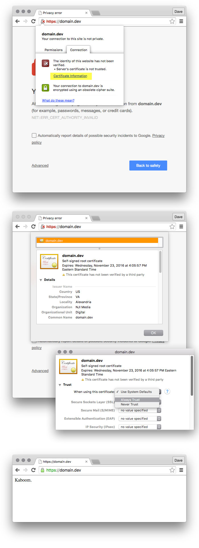 Three screenshots displaying a web browser's security warnings and certificate information for a webpage. The first warns of a privacy error on "domain.dev," suggesting users should not proceed. The second shows certificate details, and the third confirms the certificate's trust settings.