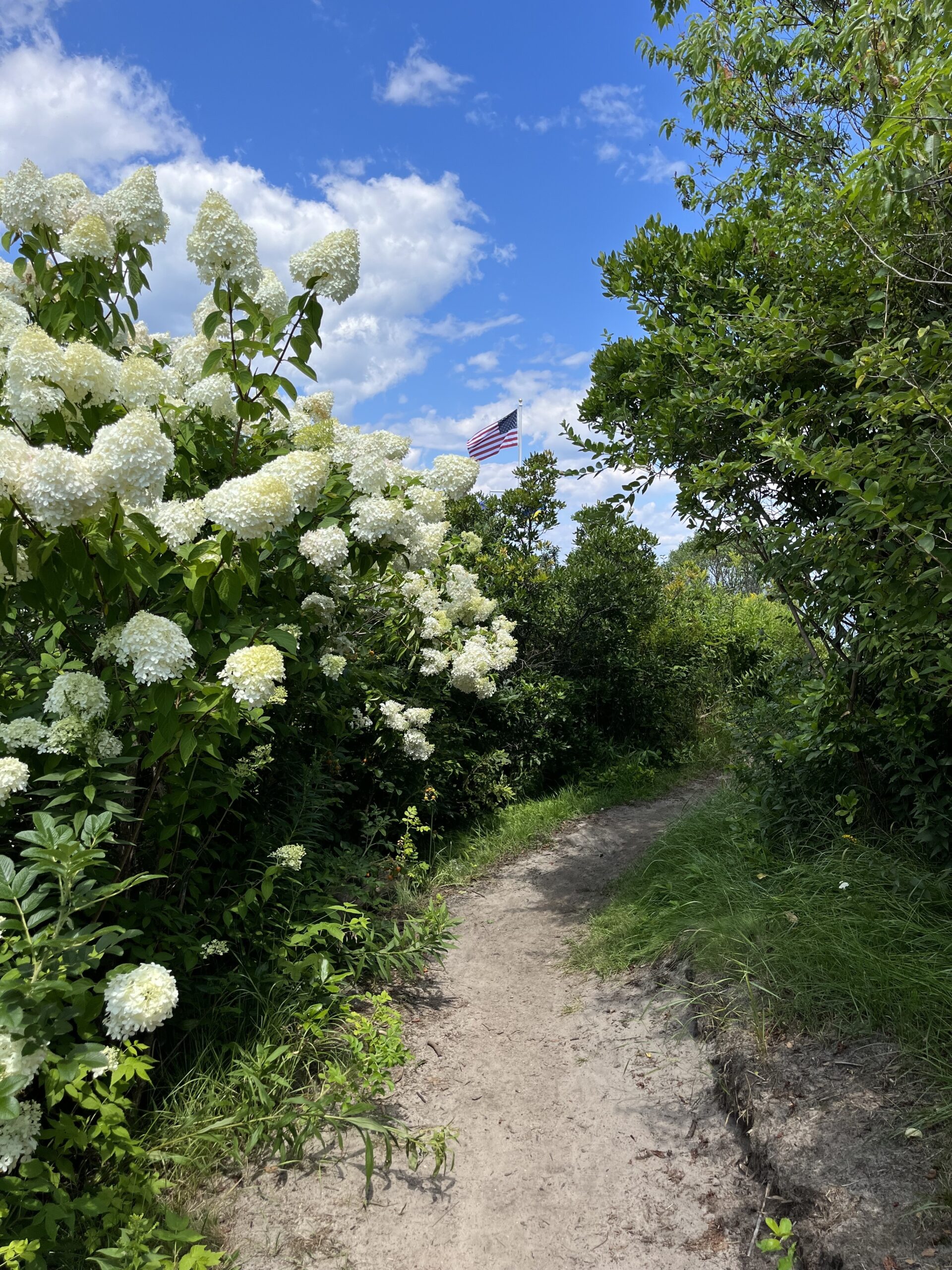 A narrow dirt path winds through lush greenery and white blooming flowers under a bright blue sky with scattered clouds. An American flag is partially visible in the distance beyond the foliage.