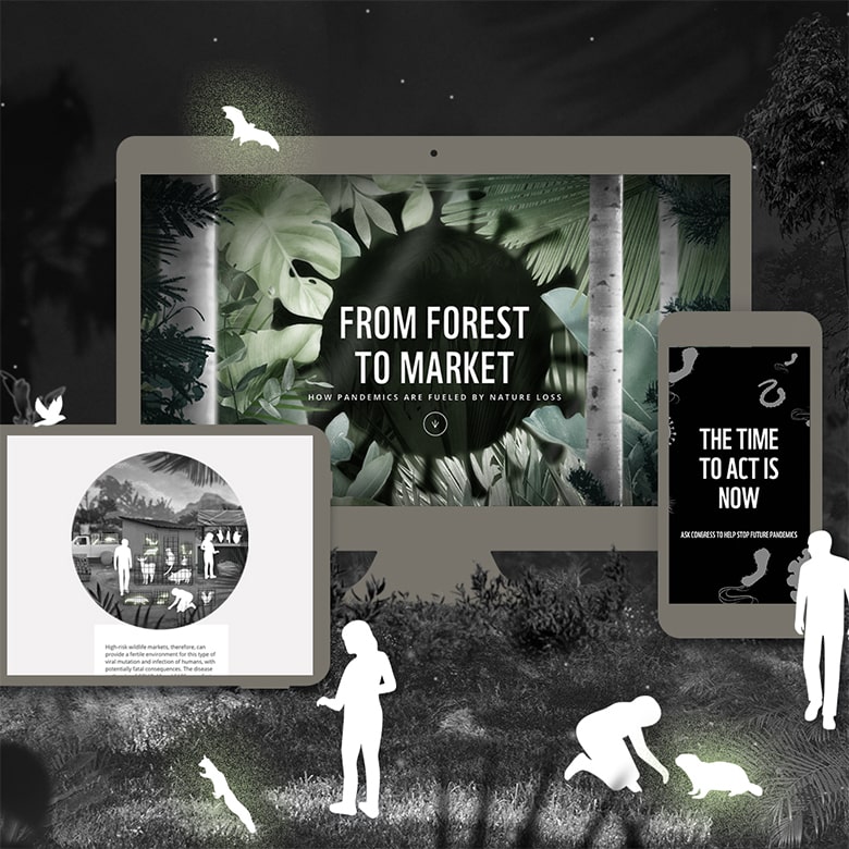 A collage of digital devices displays various nature-themed graphics. A computer screen shows the title "From Forest to Market" with jungle imagery. A phone screen reads "The Time to Act is Now." Smaller figures and forest animals are silhouetted around the devices, highlighting our agency partnership in web development services.