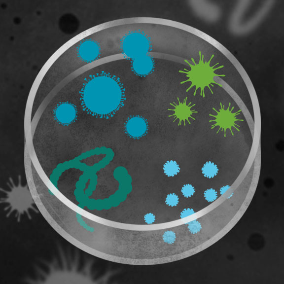 An illustration of a petri dish containing various microorganisms, including blue and green bacteria and viruses. The background is dark with faded shapes, resembling an abstract laboratory setting.