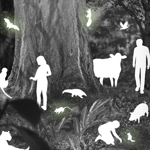 Silhouettes of various animals and people stand around a large tree in a dark, woodland setting. Visible silhouettes include a bat, bird, mouse, anteater, cow, human figure standing, and a human figure kneeling. Glowing lights accentuate the scene.