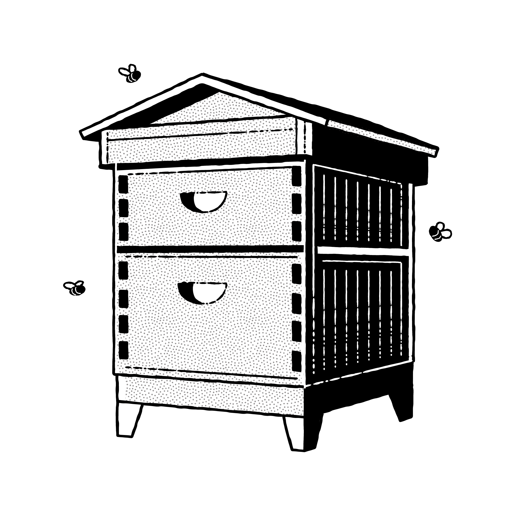 Illustration of a beehive with two chambers and a sloped roof. Three bees are flying around the hive. The image is in a black and white stippled style.