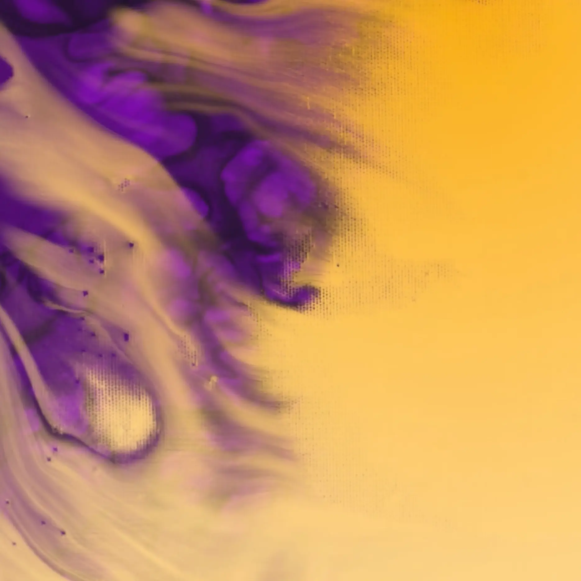 Abstract image with a vivid blend of purple and yellow. The purple hues flow and mix with the yellow background, creating a swirling, fluid motion effect. The coloration and texture form an artistic and dynamic visual.