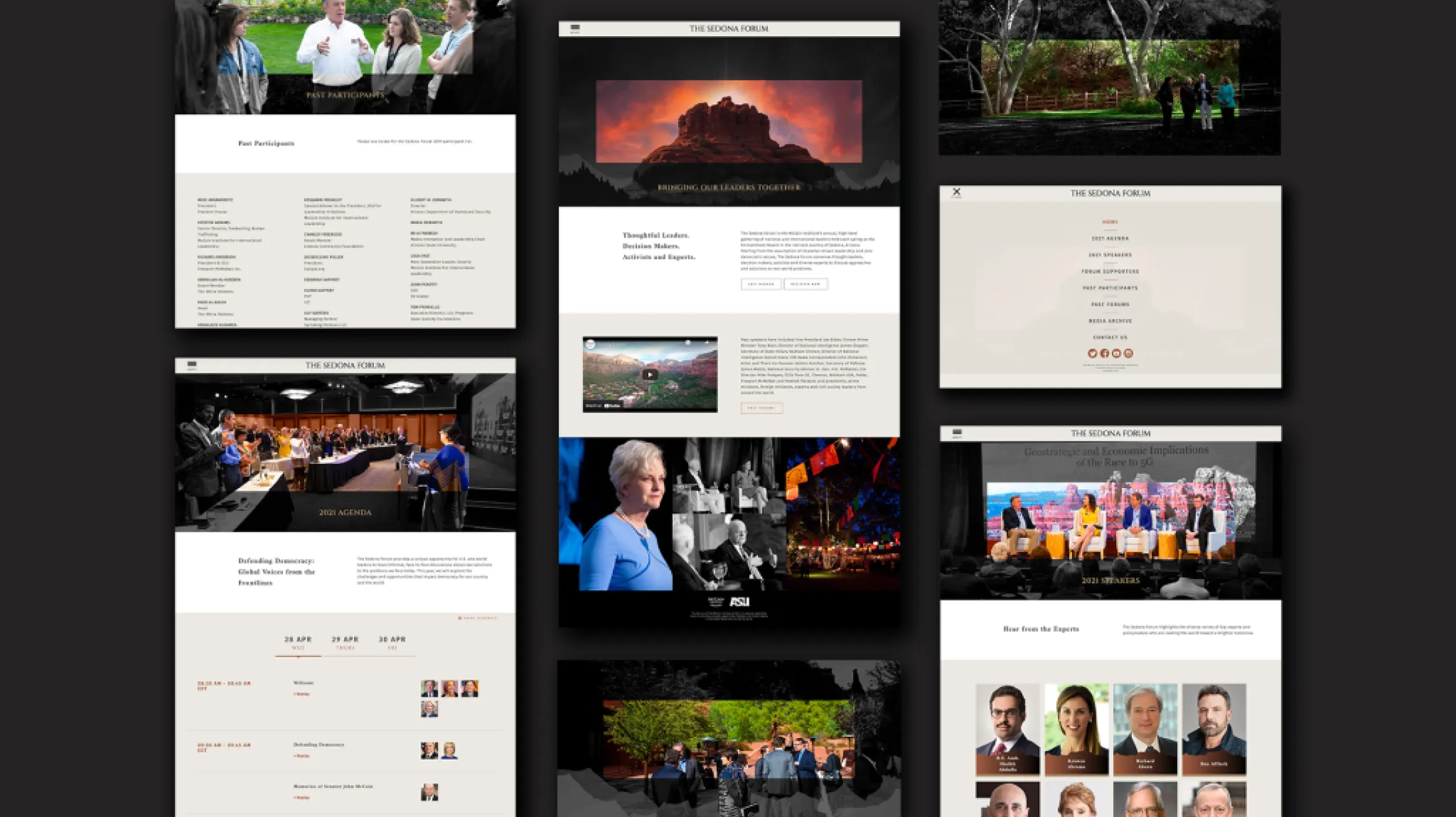 A collage of webpage screenshots displayed in a grid layout features elements such as text, images of landscapes and people, an event hall, headshots, and group photos. The central image shows a mountain with a sunset. The design is clean and modern, highlighting health care advocacy through visuals.