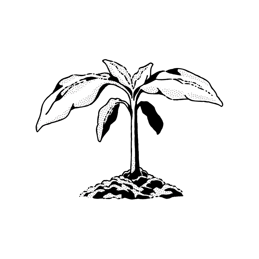 Silhouette of a palm tree with a curved trunk and large fronds, standing on a small mound. The background is completely black, emphasizing the tree's outline—reminiscent of an innovative storytelling campaign strategy in its simplicity and impact.